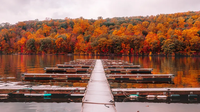 Empty community docks on Candlewood Lake with autumn foliage reflected in the water.